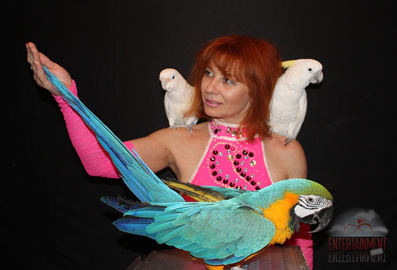 Ольга и её попугаи