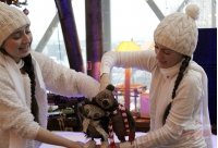 Кукольный спектакль "Как Ежик и Медвежонок встречали Новый год"
