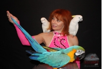 Ольга и её попугаи